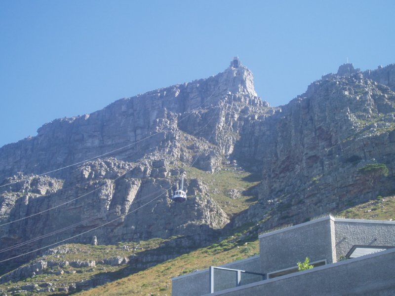 KeHa_in_South_Africa - 226